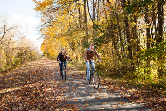 Fahrrad