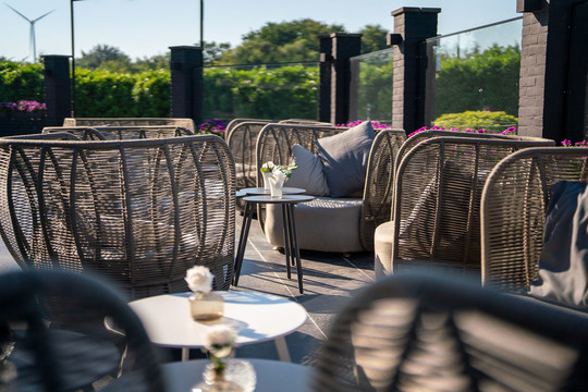 Terras