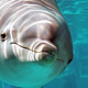 Zoo Duisburg